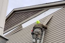 Best Weatherproofing and Sealing  in Appleton, MN